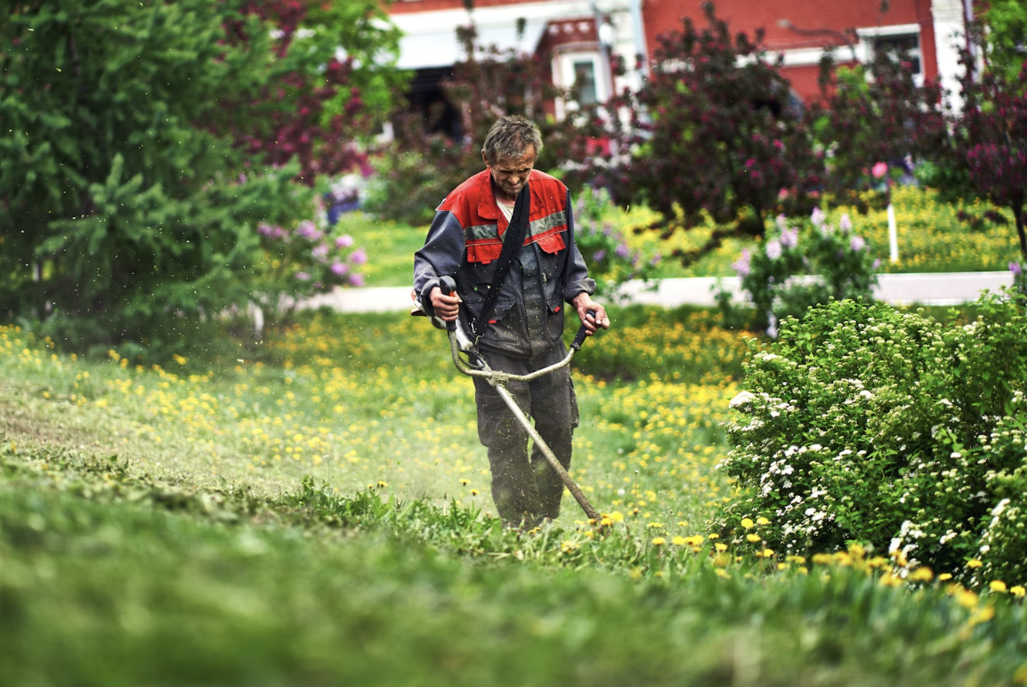 Landscape work photo 1