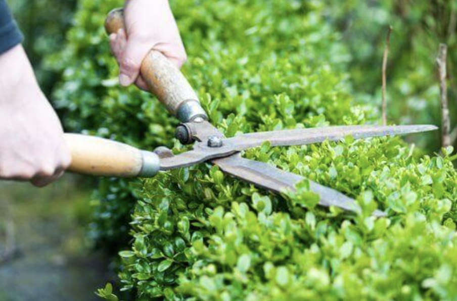 Landscape work photo 2