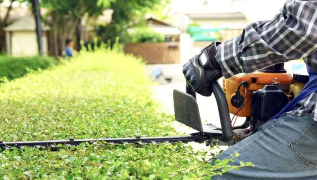 Hedge trimming